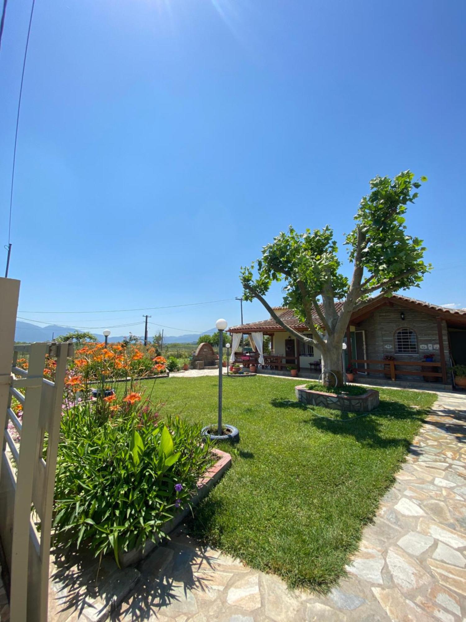 הוילה Néa Meságkala Platanos House מראה חיצוני תמונה