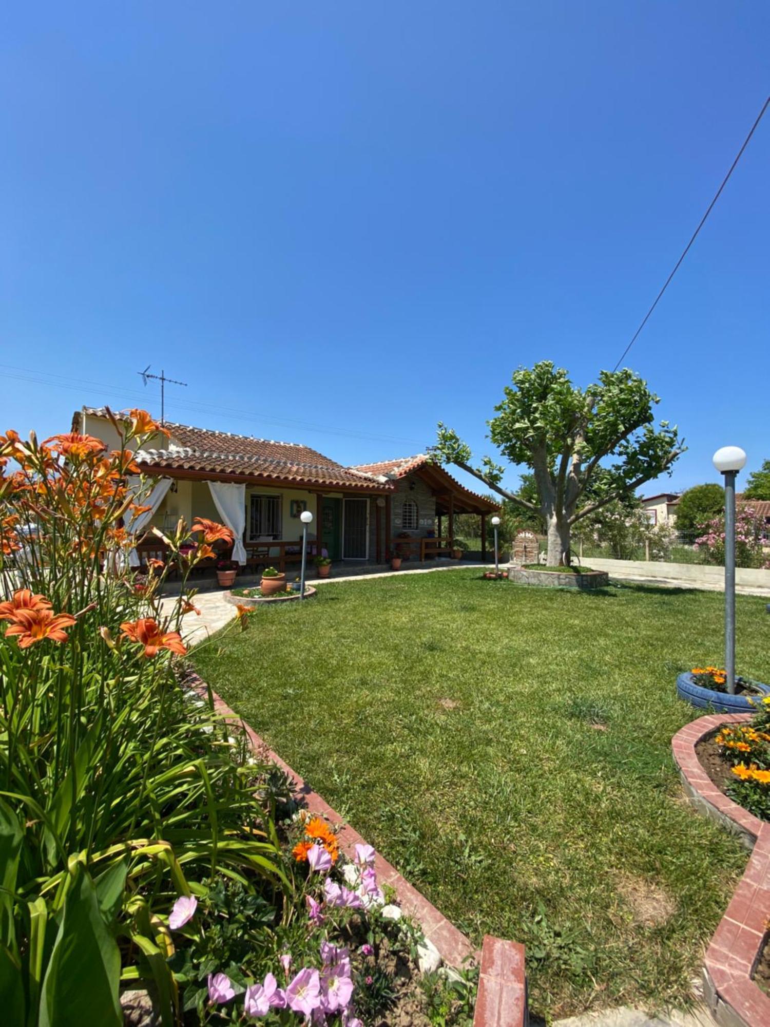 הוילה Néa Meságkala Platanos House מראה חיצוני תמונה